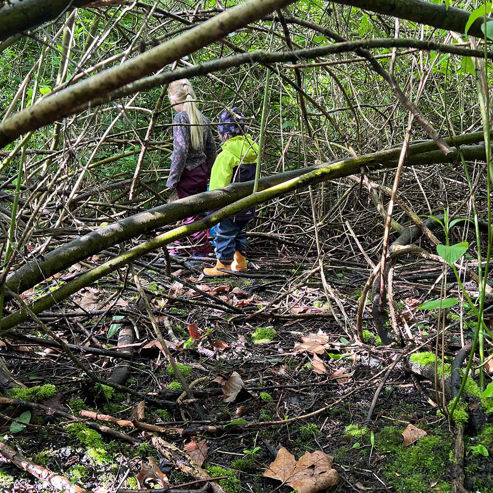 Kinder entdecken die Natur