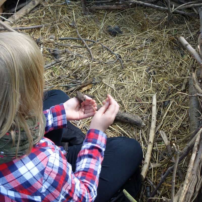 Kind streichelt einen Frosch